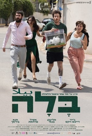 Bella – בלה – بيلا